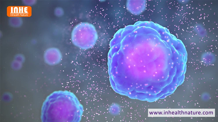 Regulation of Cytokine Production by Sialic Acid powder