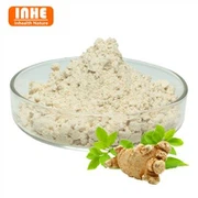 Panax notoginseng extraktpulver