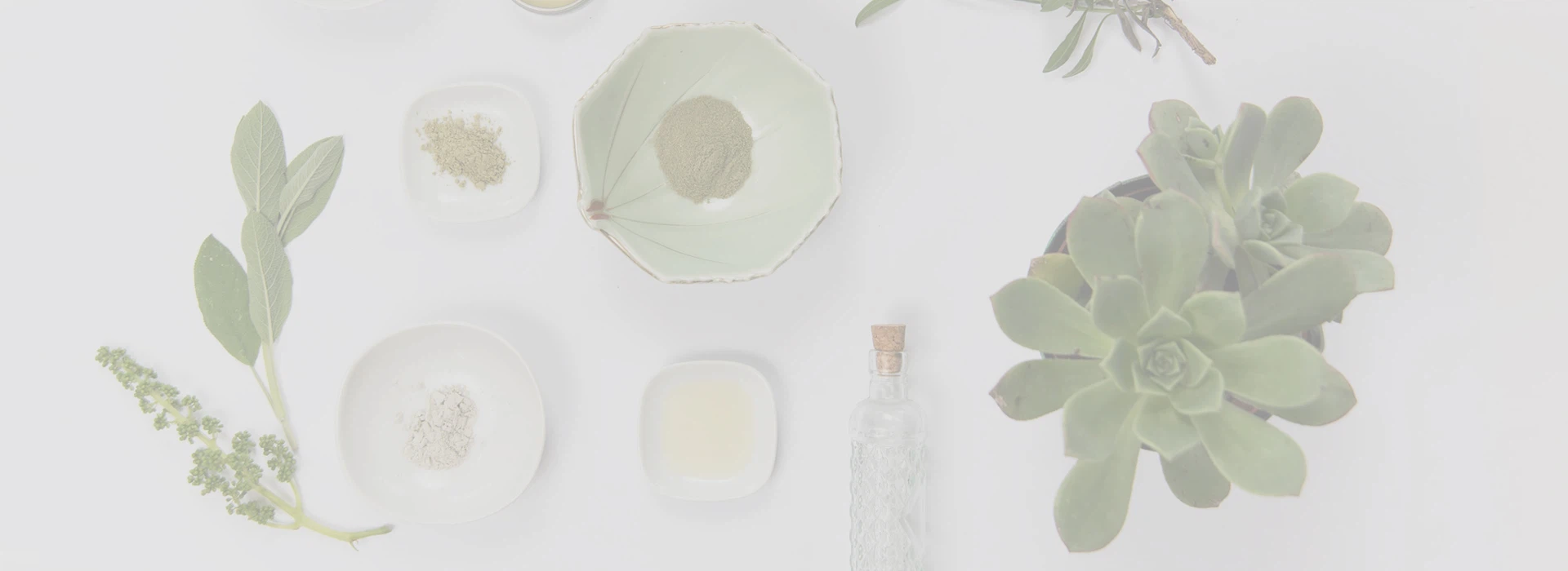 Shaanxi  Hälsa  Naturen  Industri  Co.,  Ltd