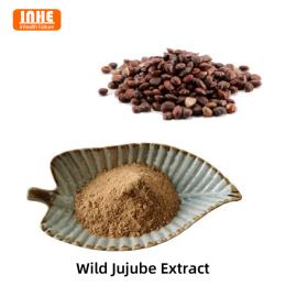 Vad är marknadsläget för Jujube Seed Extract?