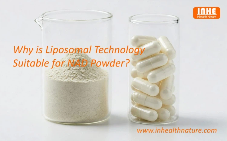 Why is Liposomal Technology Suitable for NAD Powder