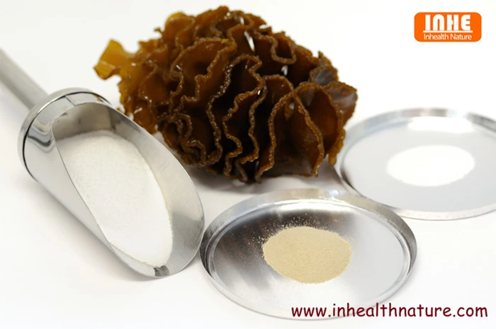 Fucoidan Extract