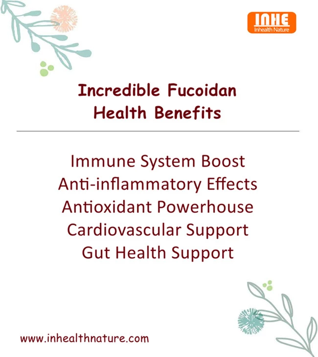 Incredible Fucoidan Health Benefits