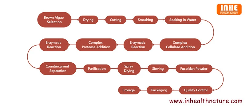 Fucoidan Powder Flow Chart