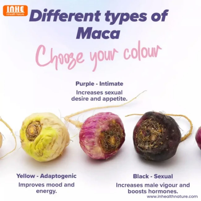 Different Types of Maca Different Types of Maca