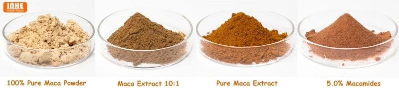 Maca Powder Maca Powder