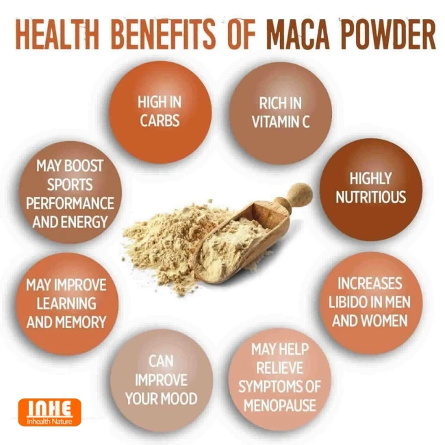 Maca Extract Benefits Maca Extract Benefits